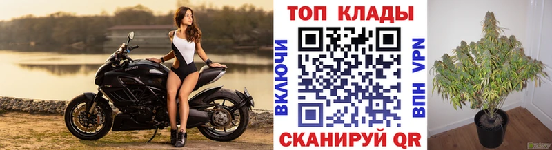 Виды наркотиков купить Котово Гашиш  Каннабис  МЕФ 